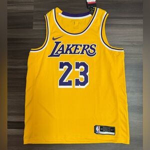 Nike Los Angeles LA Lakers LeBron James #23 NBA Swingman Jersey Men’s 48 Large